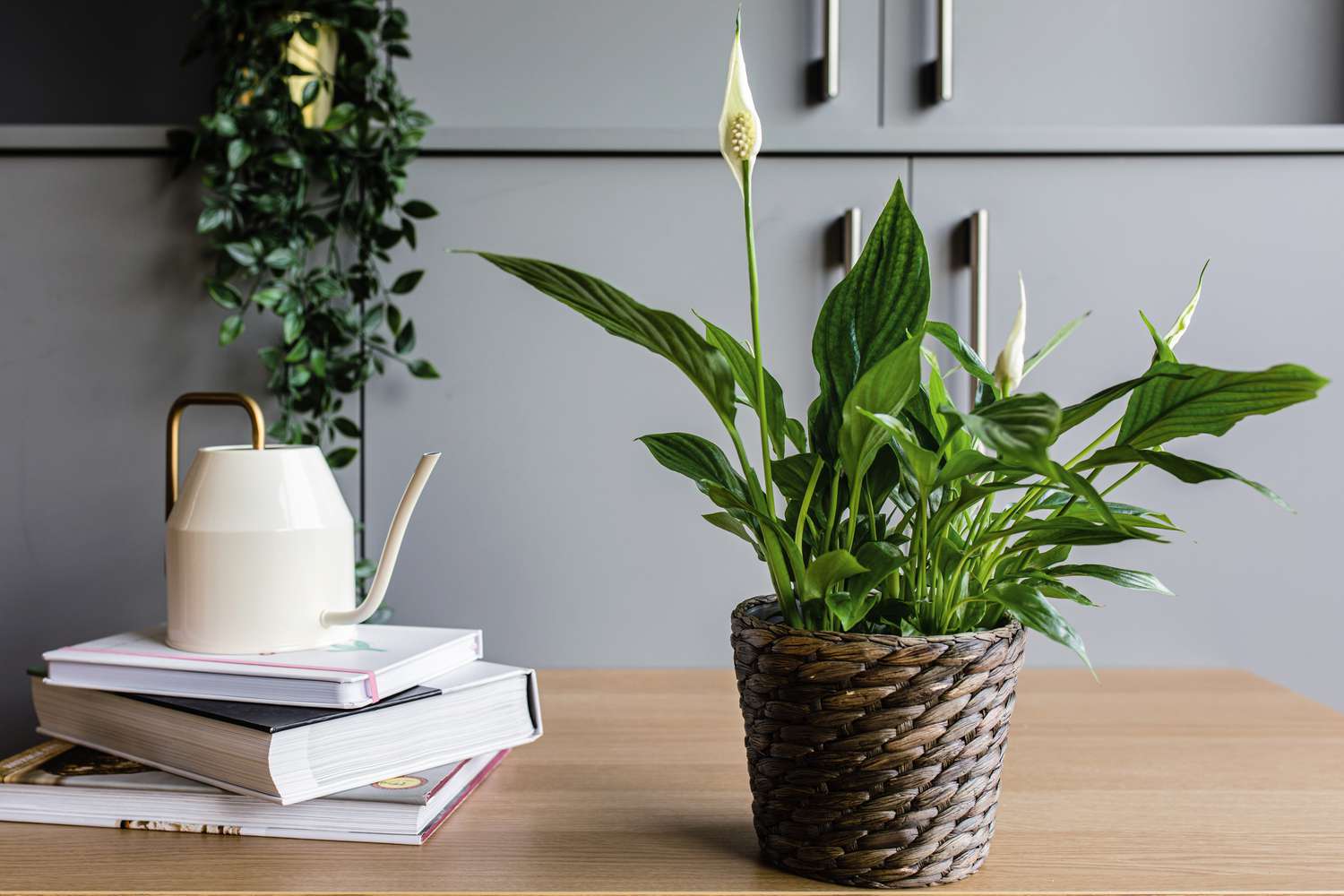 how-to-care-for-peace-lily-plant-indoors