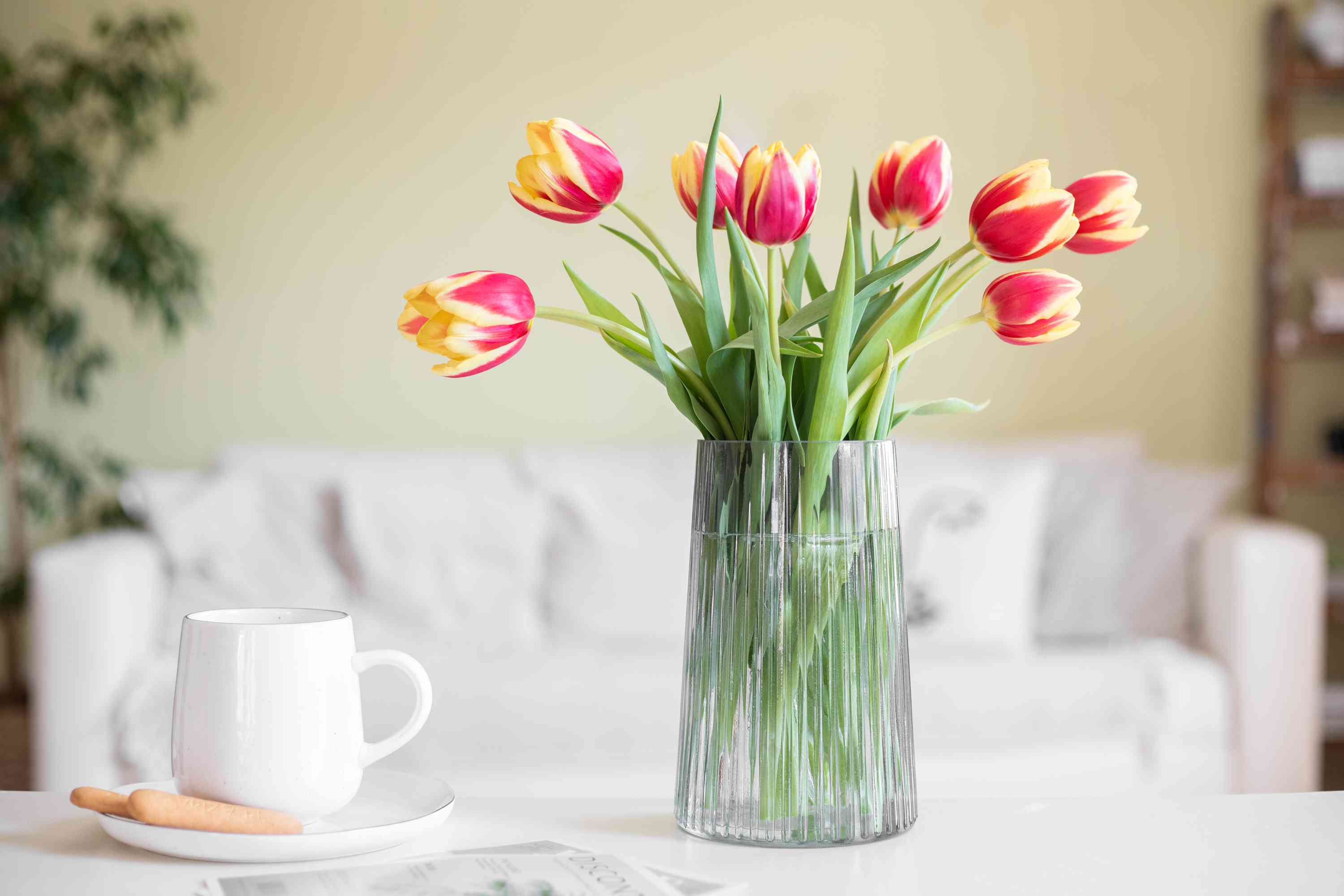 How To Care For Tulip Bulbs In A Vase