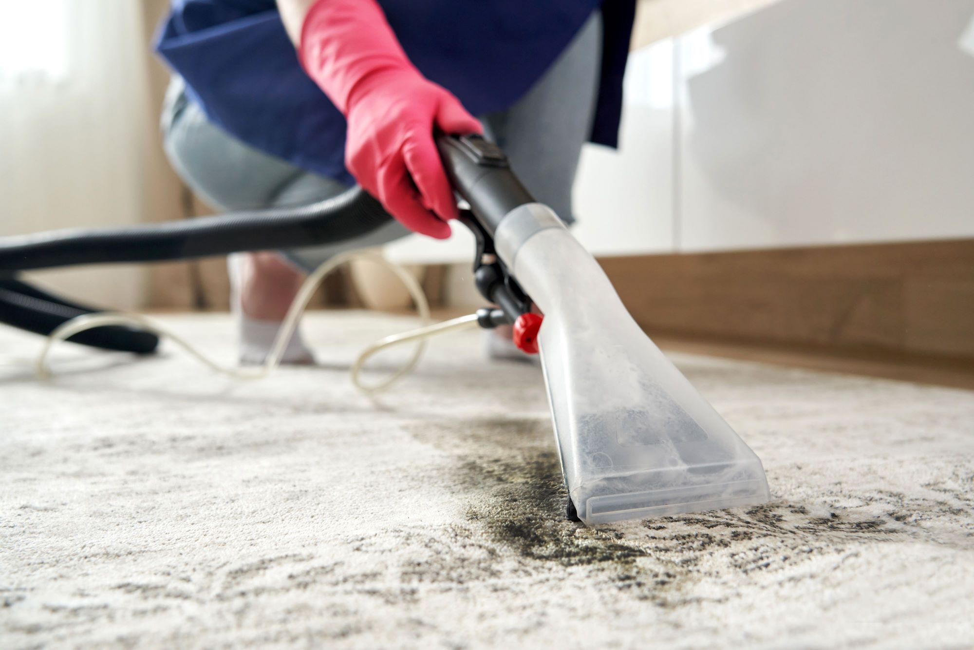 How To Clean A Rug Doctor Before Returning