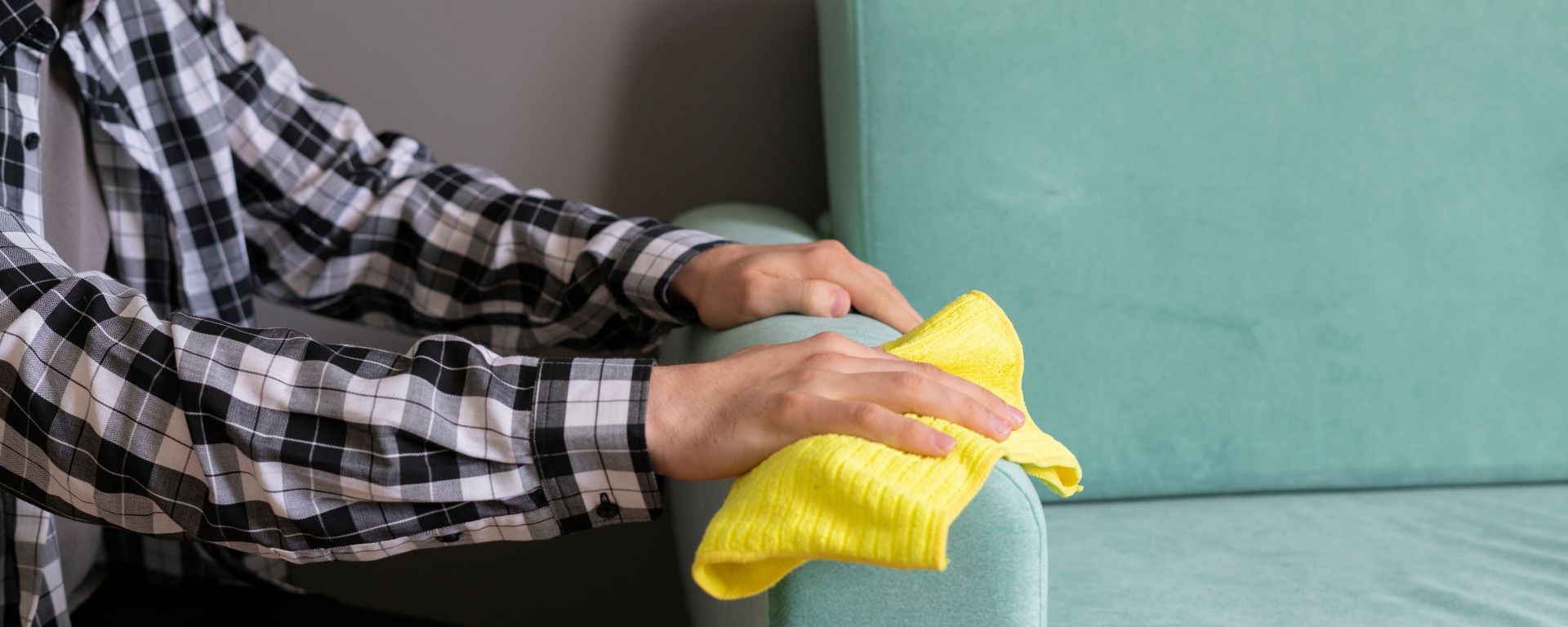 How To Clean Dog Pee On Sofa