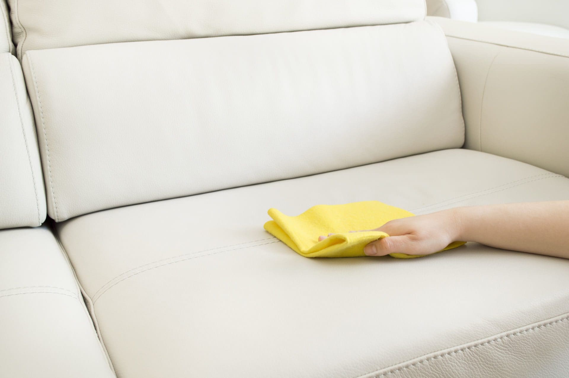 How To Clean Pee Out Of Sofa