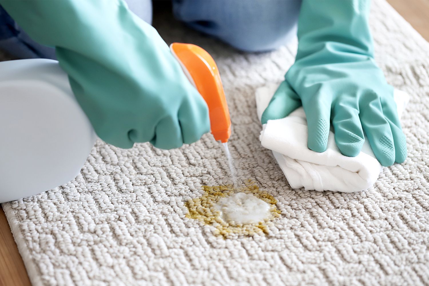 How To Clean Puke Out Of A Rug