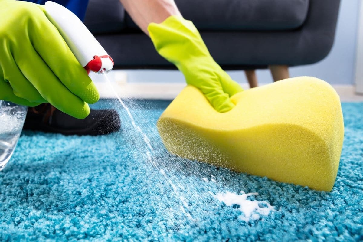 How To Clean Stain On Rug