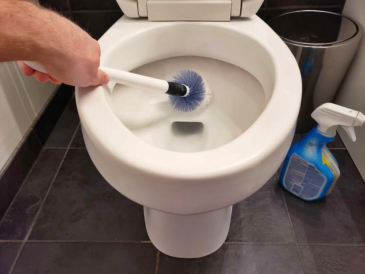 How To Empty Toilet Bowl For Cleaning CitizenSide