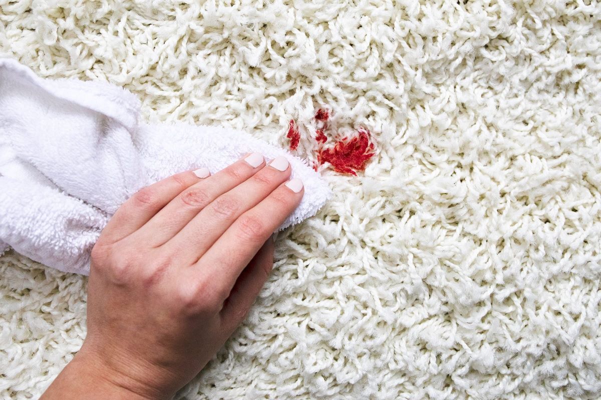 How To Get Blood Off Rug
