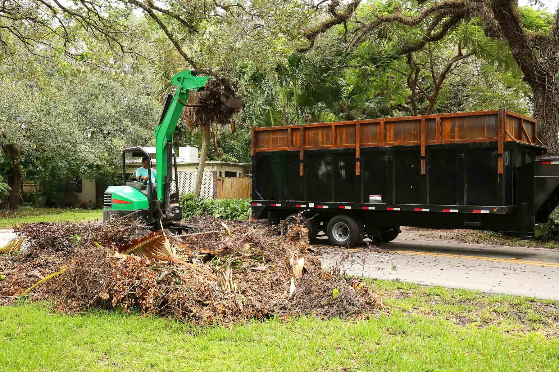 How To Get Rid Of Brush Pile