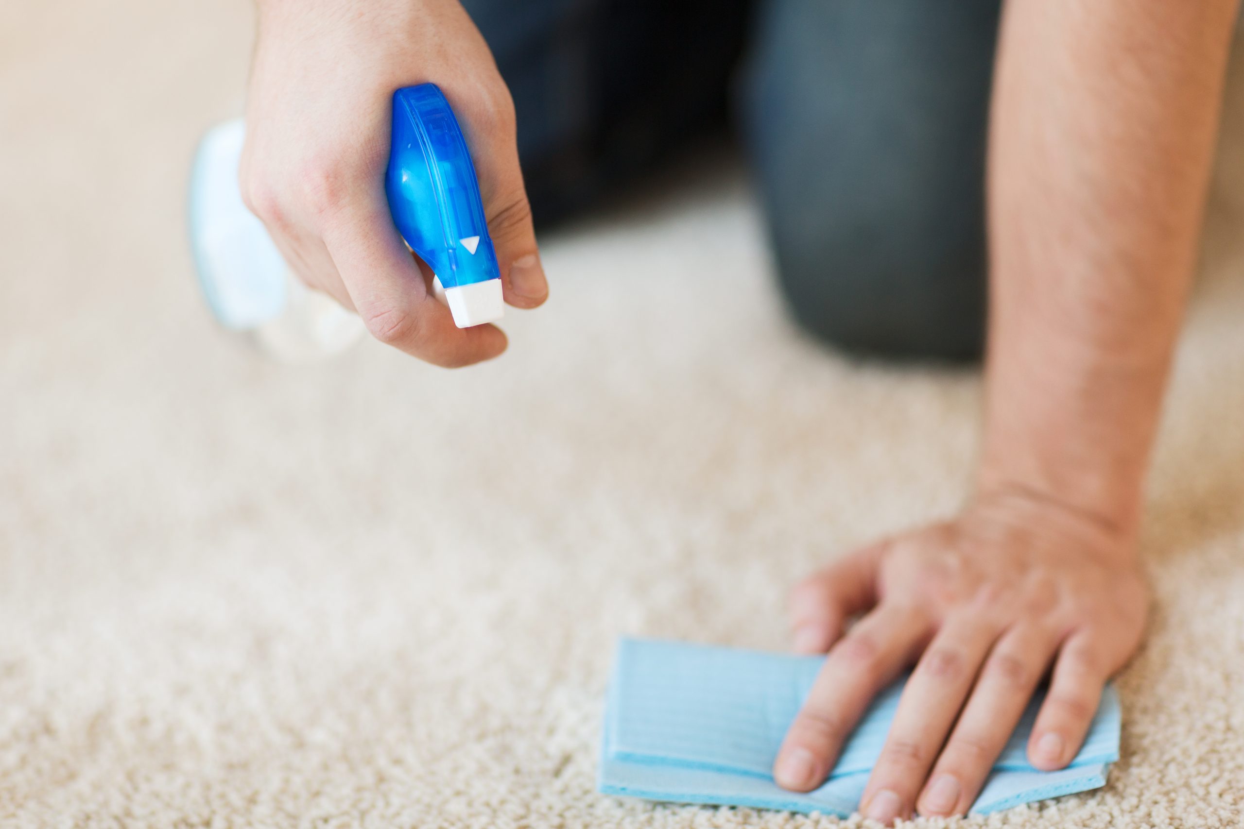 How To Get Rid Of Mildew Smell In Rug