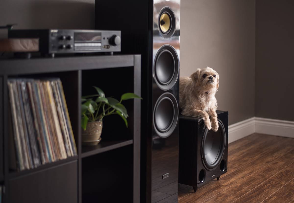 How To Get The Best Performance Out Of Your Subwoofer