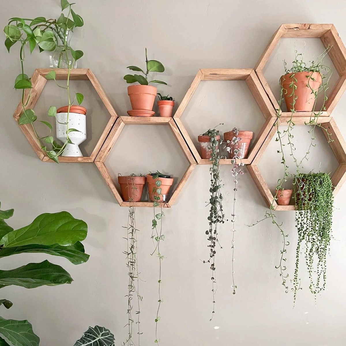 How To Make A Plant Shelf