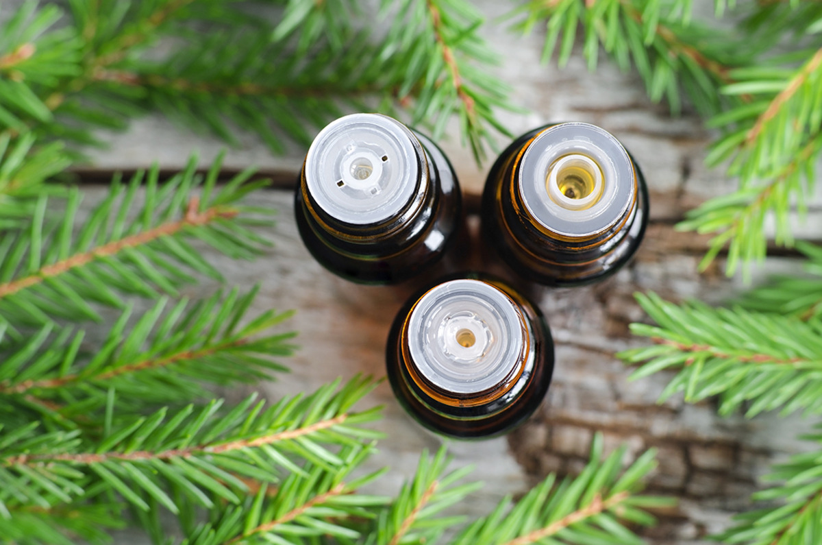 How To Make Pine Essential Oil