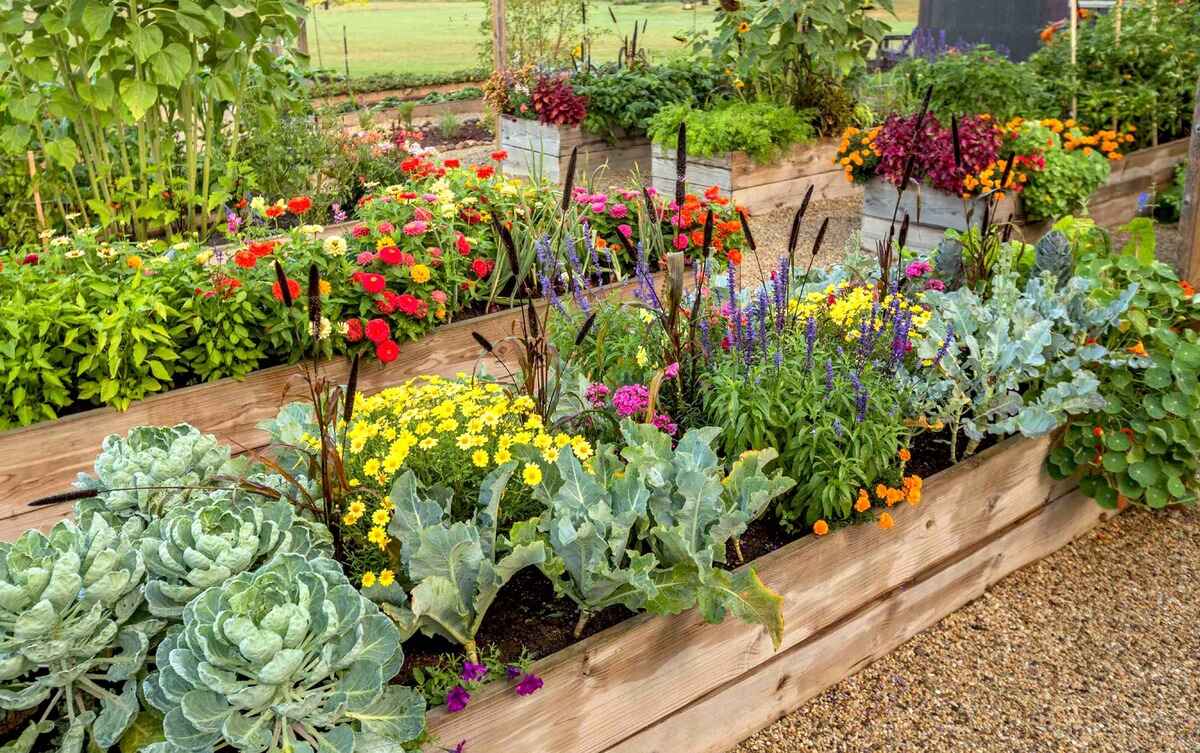 How To Plant A Raised Garden Bed
