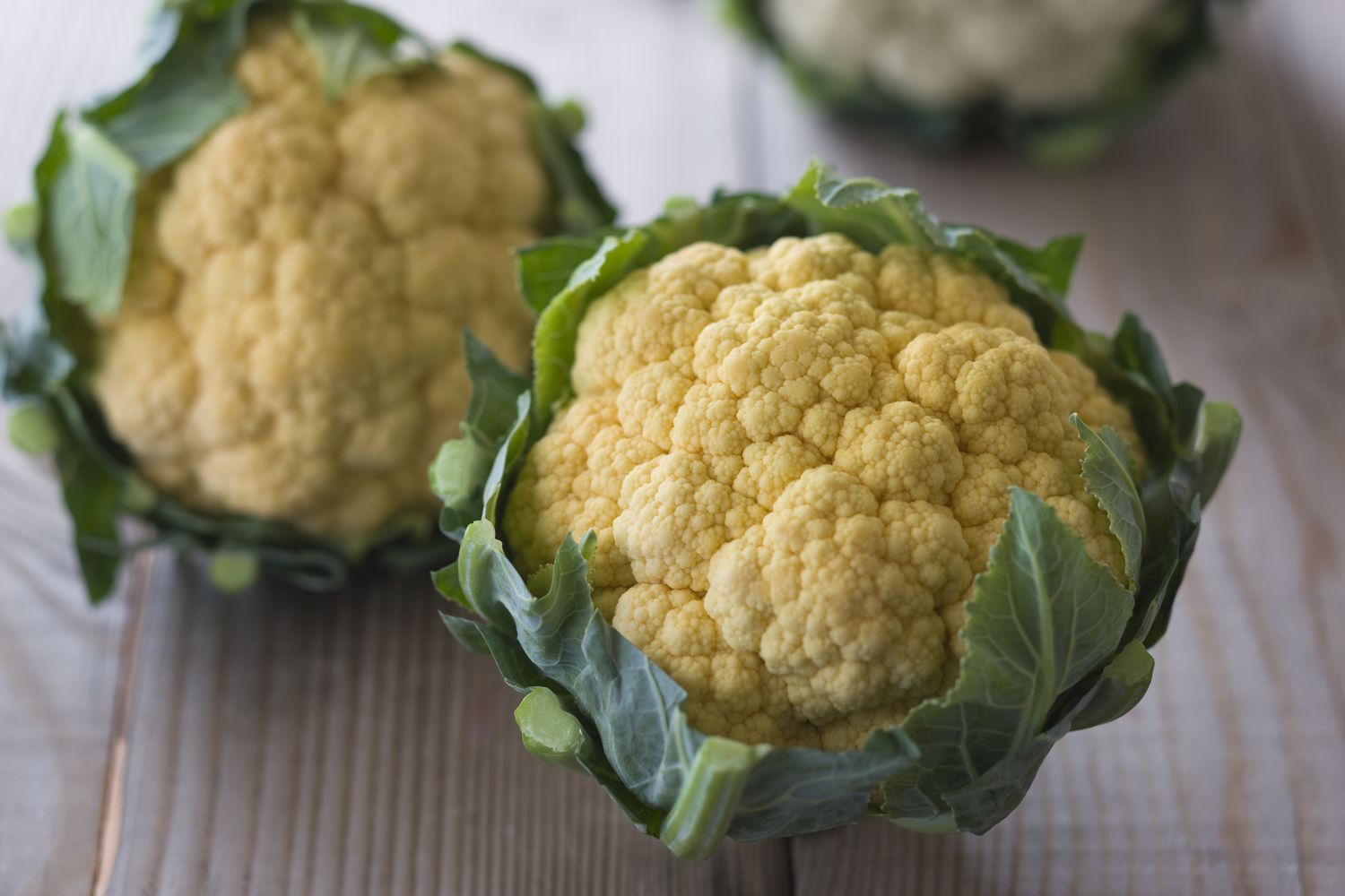 How To Plant Cauliflower