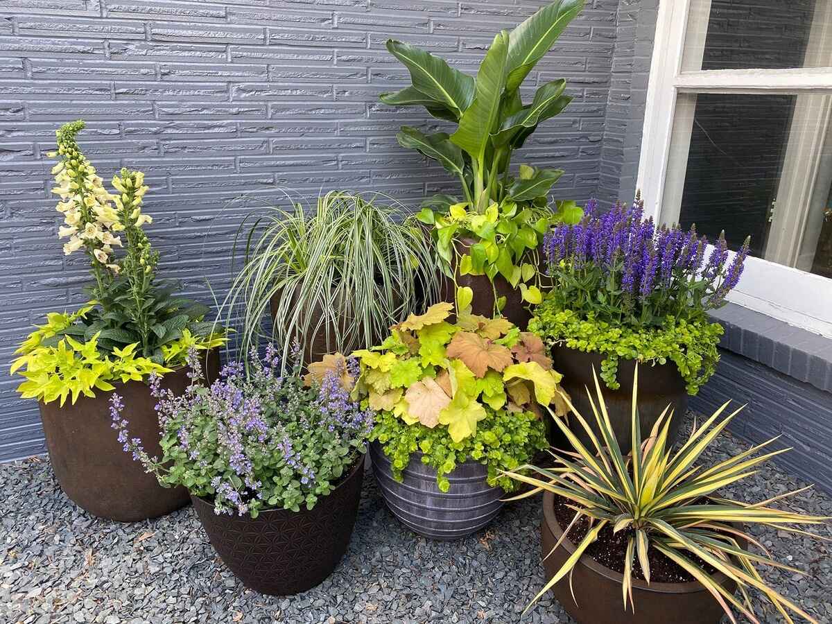 How To Plant In Large Pots
