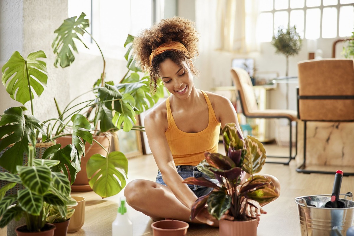 How To Plant Indoor Plants
