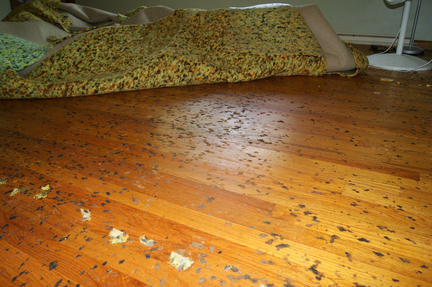 How To Remove Rug Glue From Wood Floor