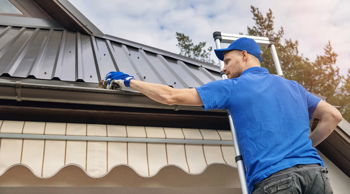how-to-start-a-roof-cleaning-business