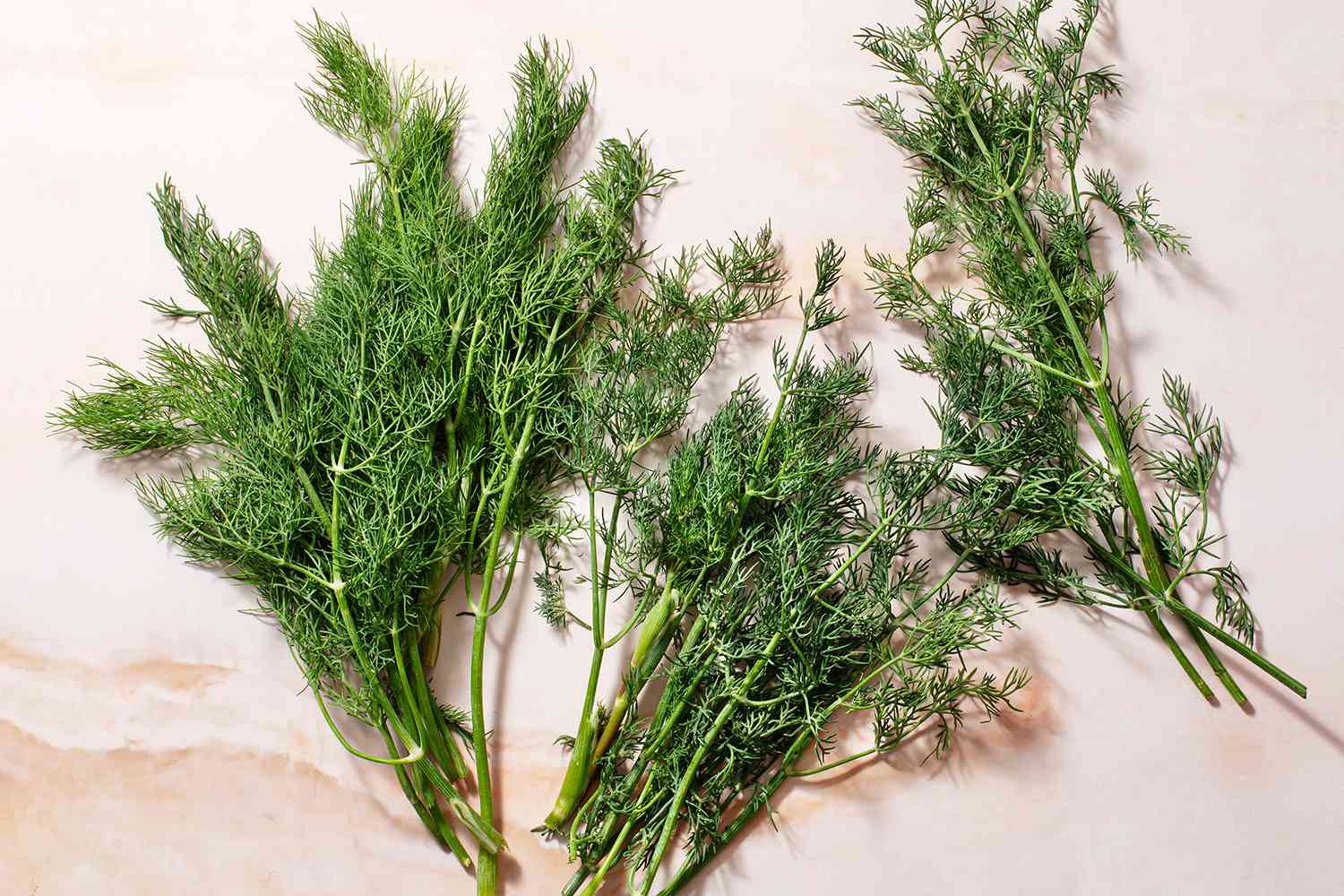 How To Trim Dill Plant