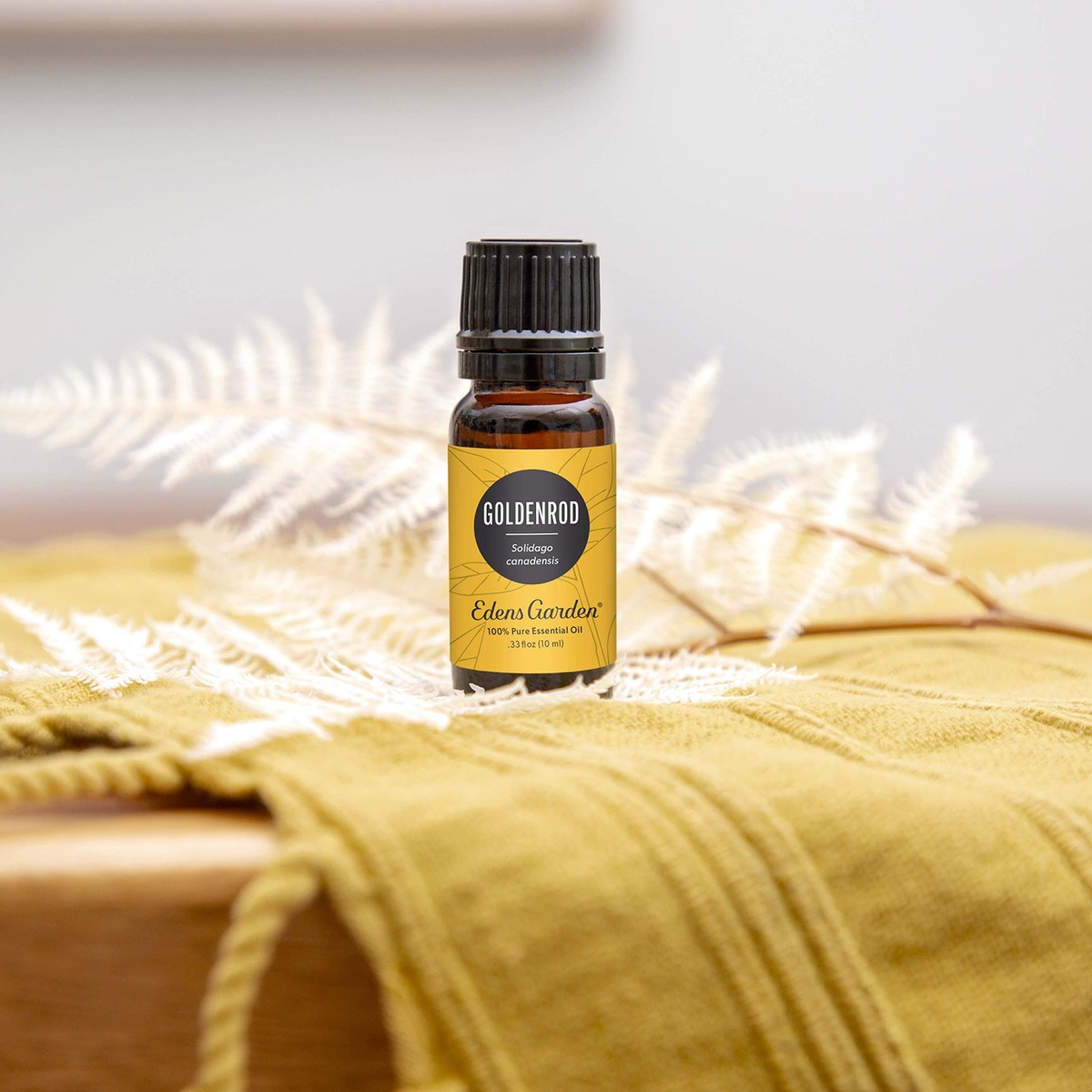 How To Use Goldenrod Essential Oil