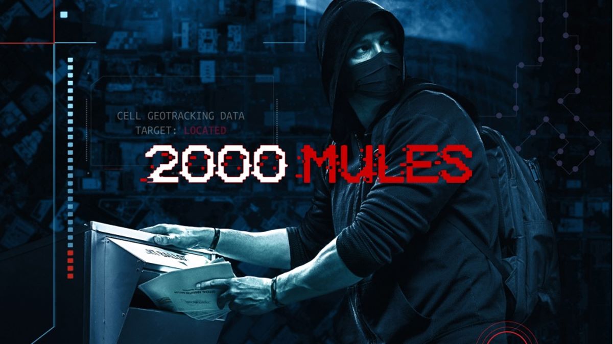 How To Watch 2000 Mules On Youtube