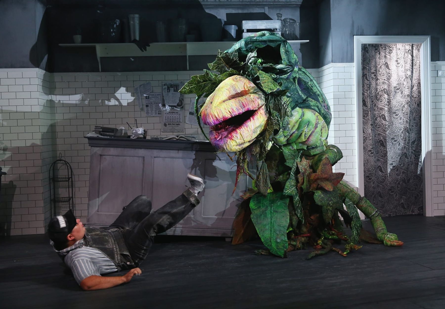How To Watch Little Shop Of Horrors
