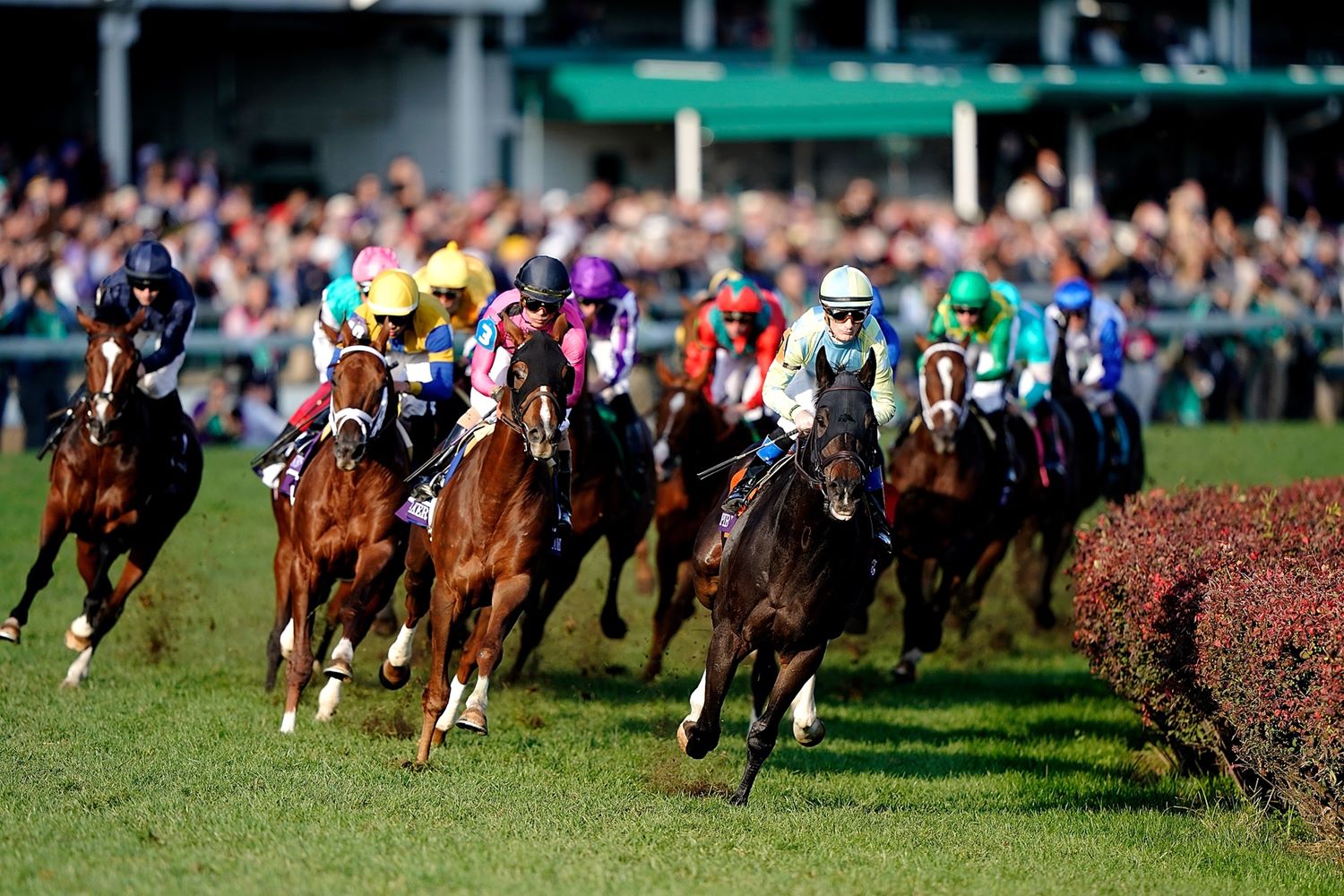 How To Watch The Breeders Cup