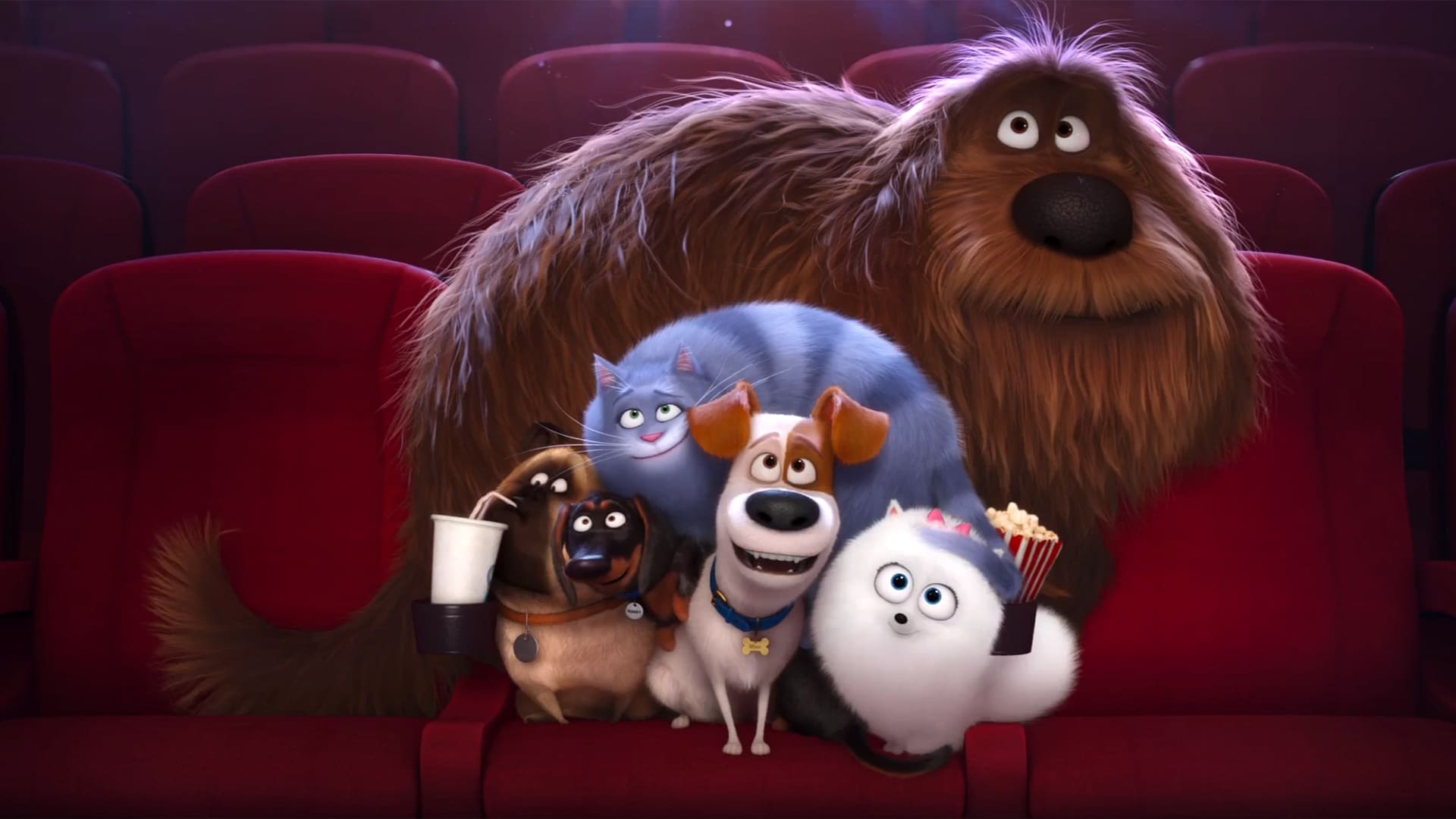 How To Watch The Secret Life Of Pets