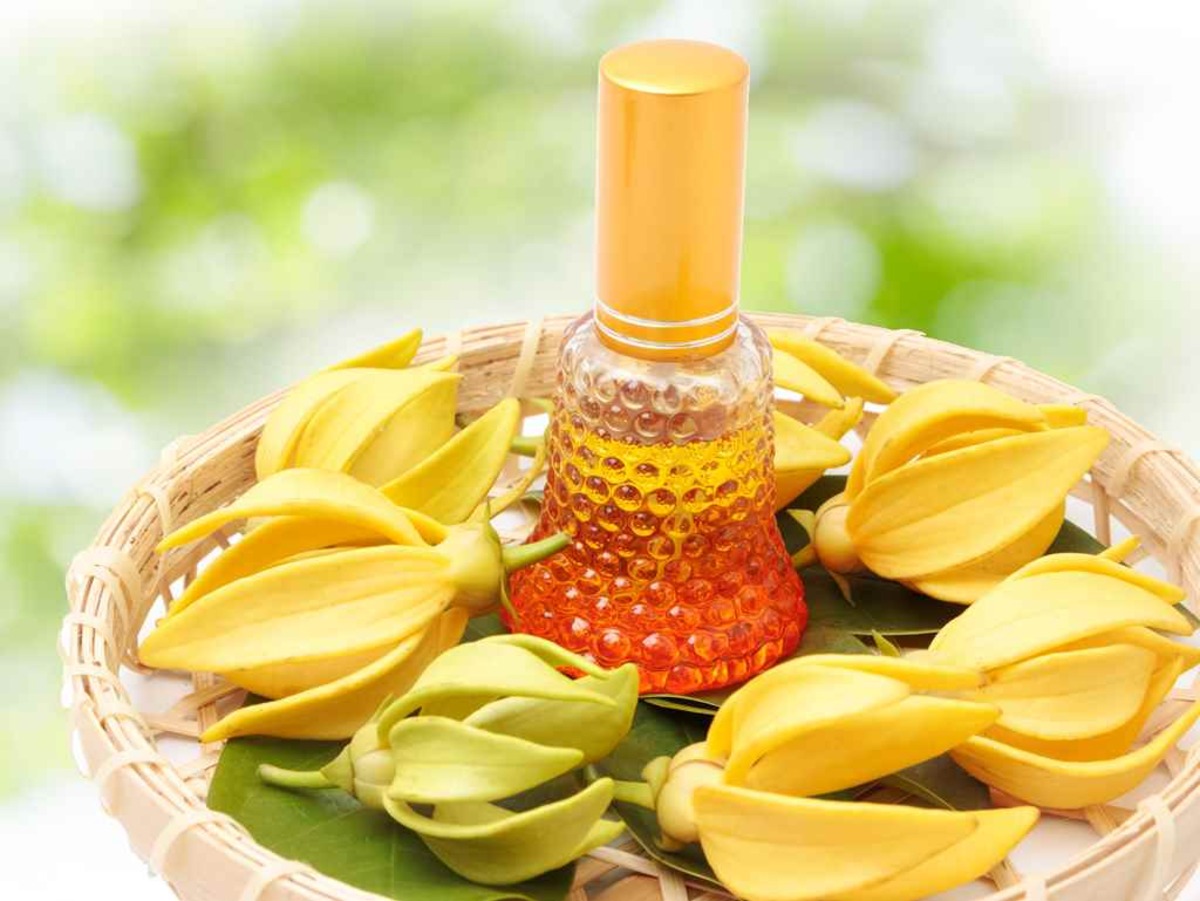 What Blends Well With Ylang Ylang Essential Oil