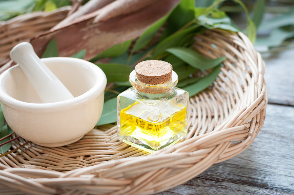 What Does Eucalyptus Essential Oil Do For You