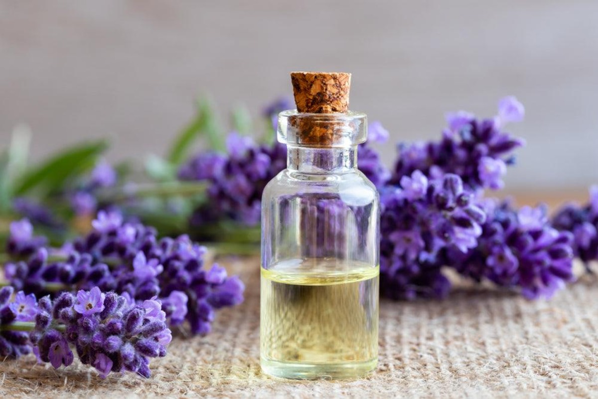 What Does Lavender Essential Oil Help With