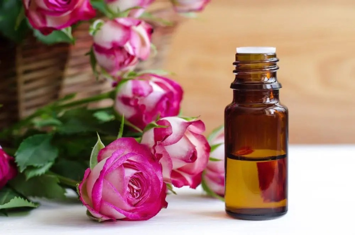 What Does Rose Essential Oil Do