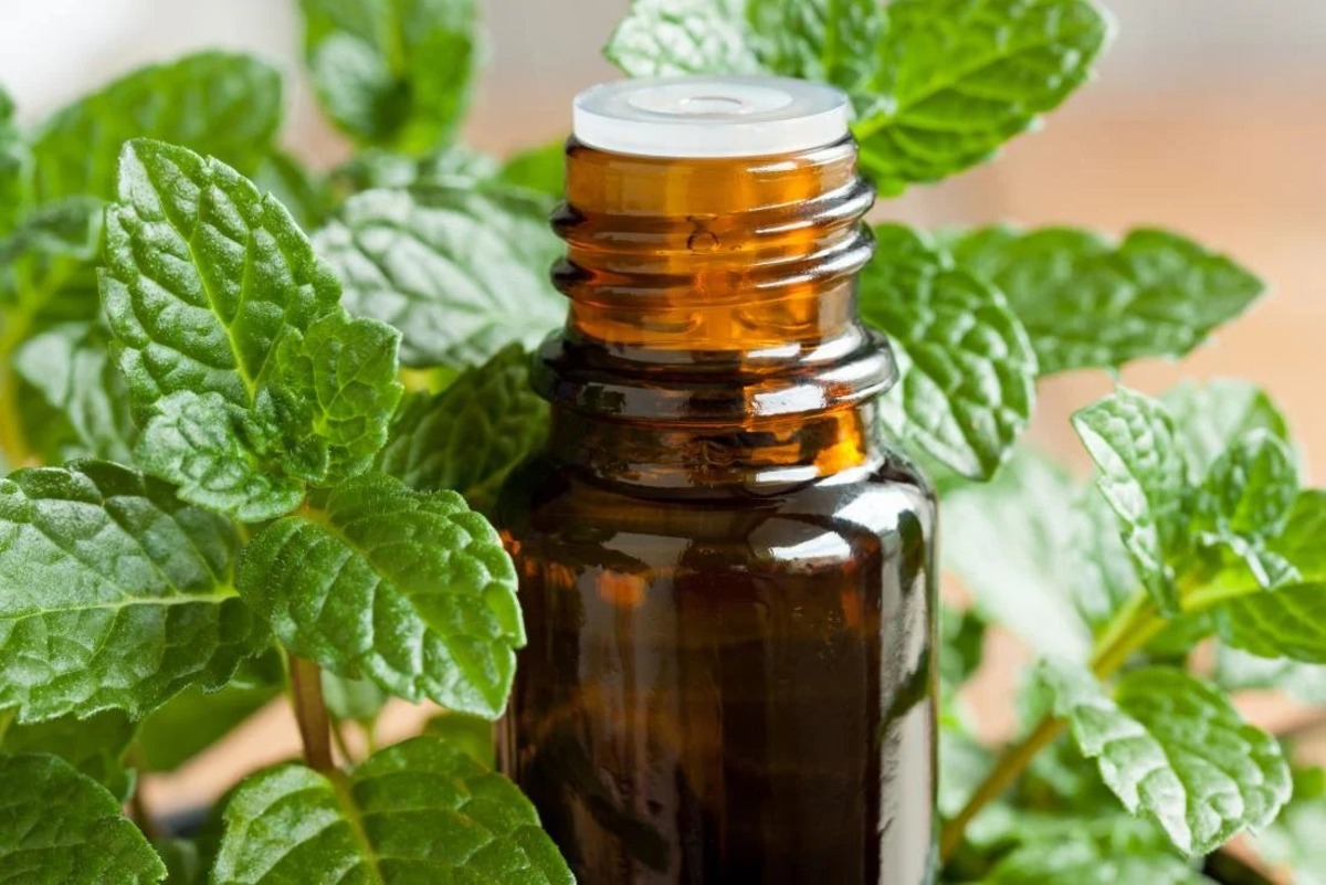 What Essential Oil Helps With Sinuses