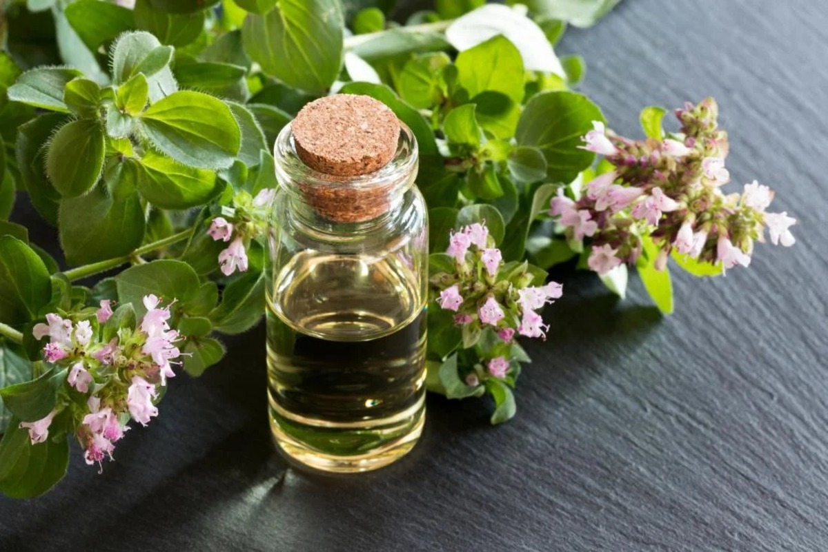 What Essential Oil Is Good For Boils