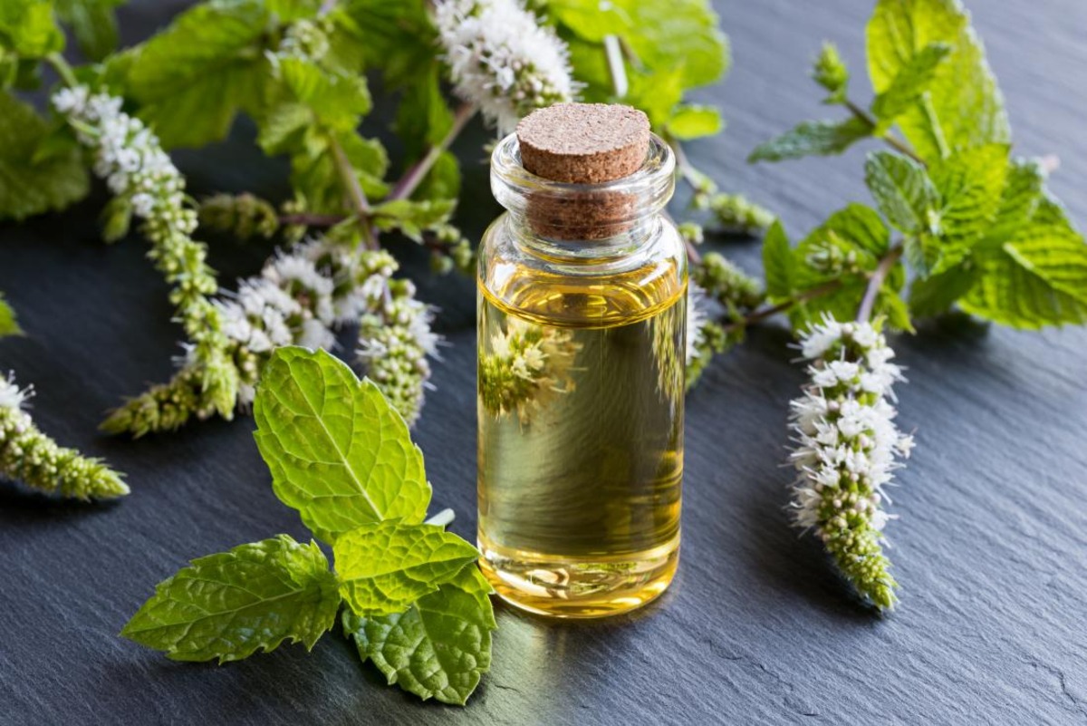 What Essential Oil Is Good For Hives
