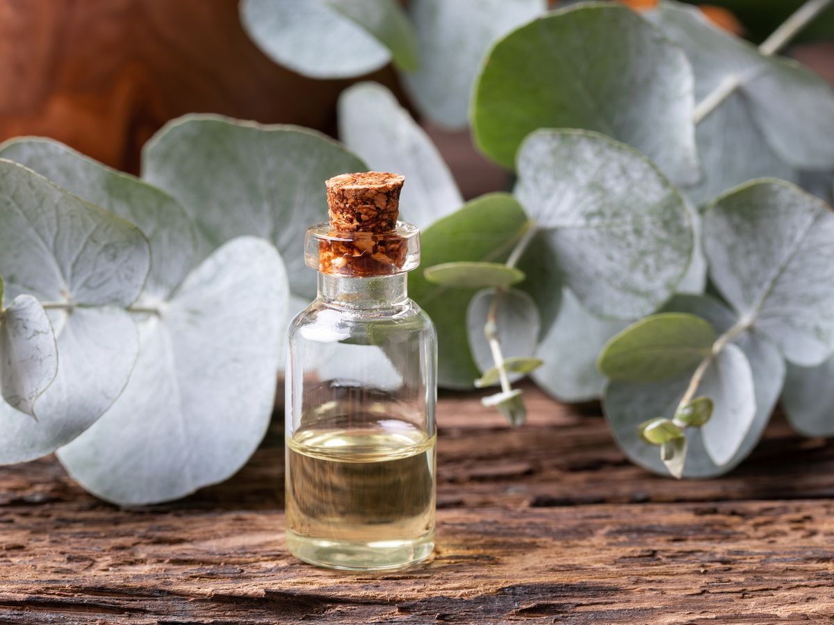 What Essential Oil Kills Germs