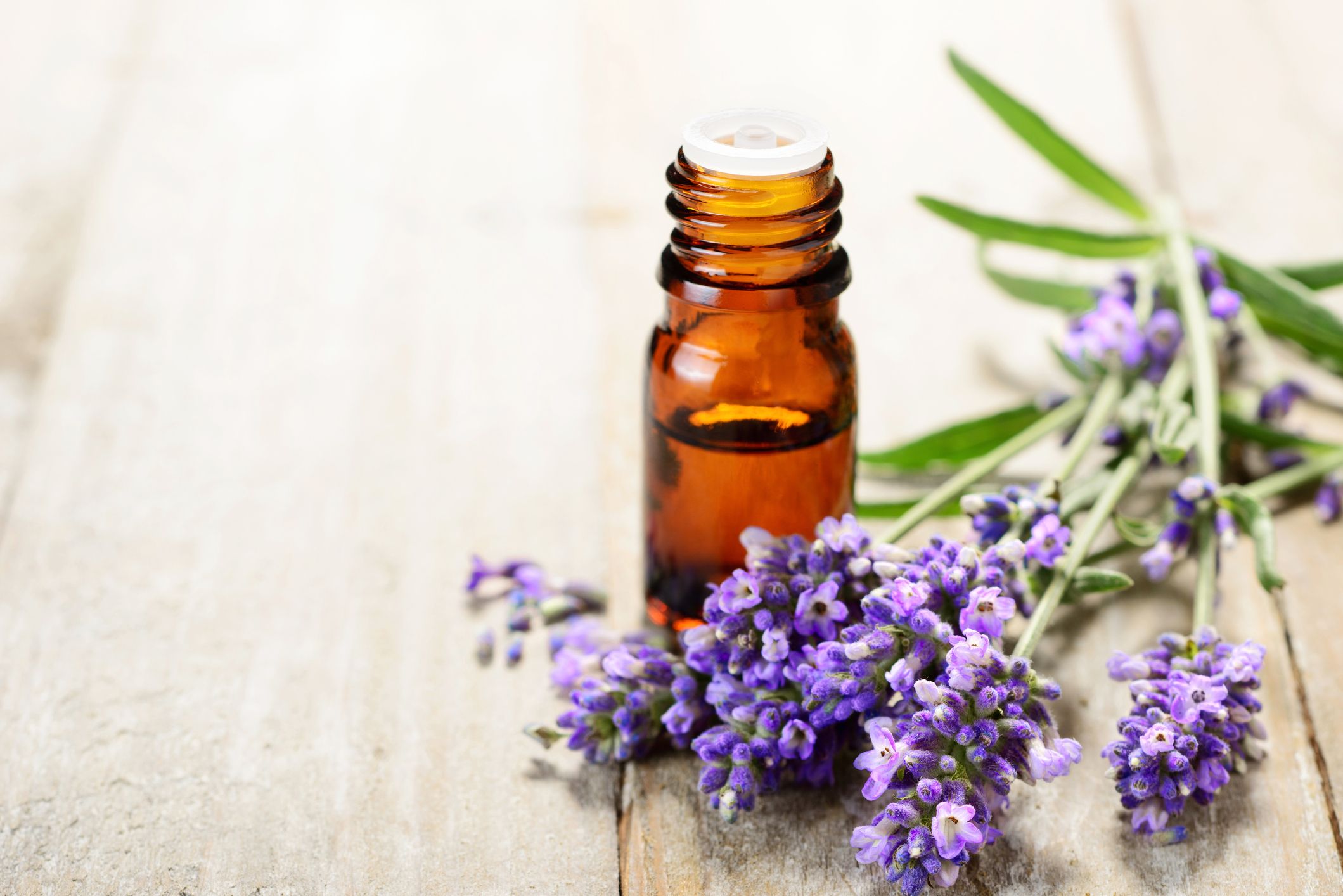 What Essential Oil Repels Lice