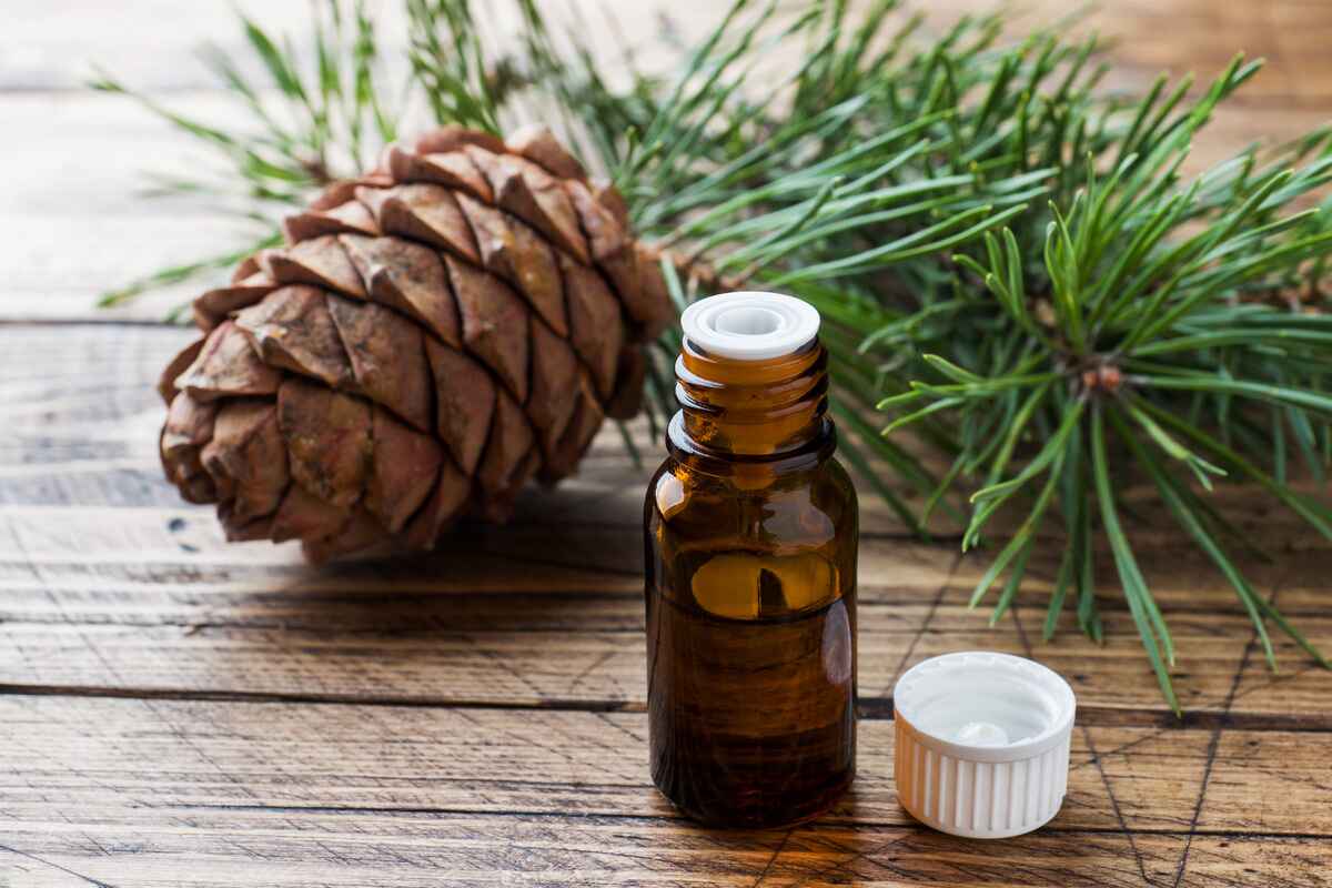 What Goes Well With Cedarwood Essential Oil
