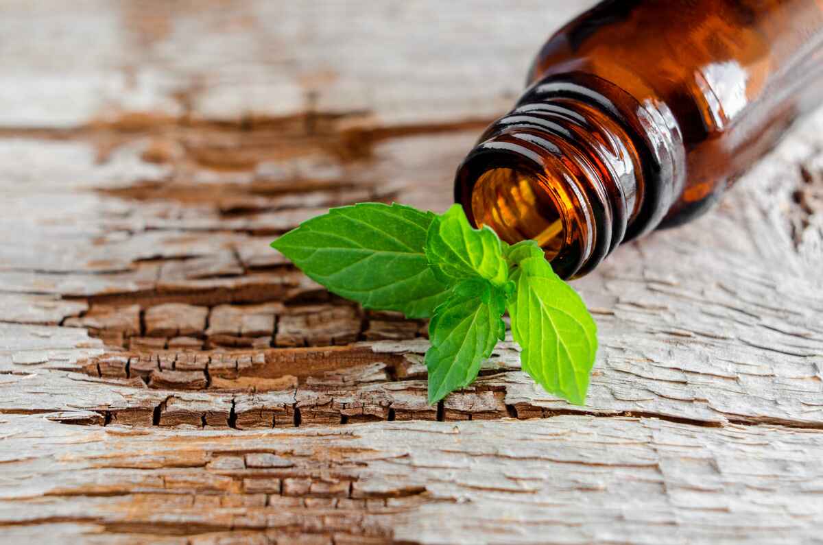 What Goes Well With Peppermint Essential Oil