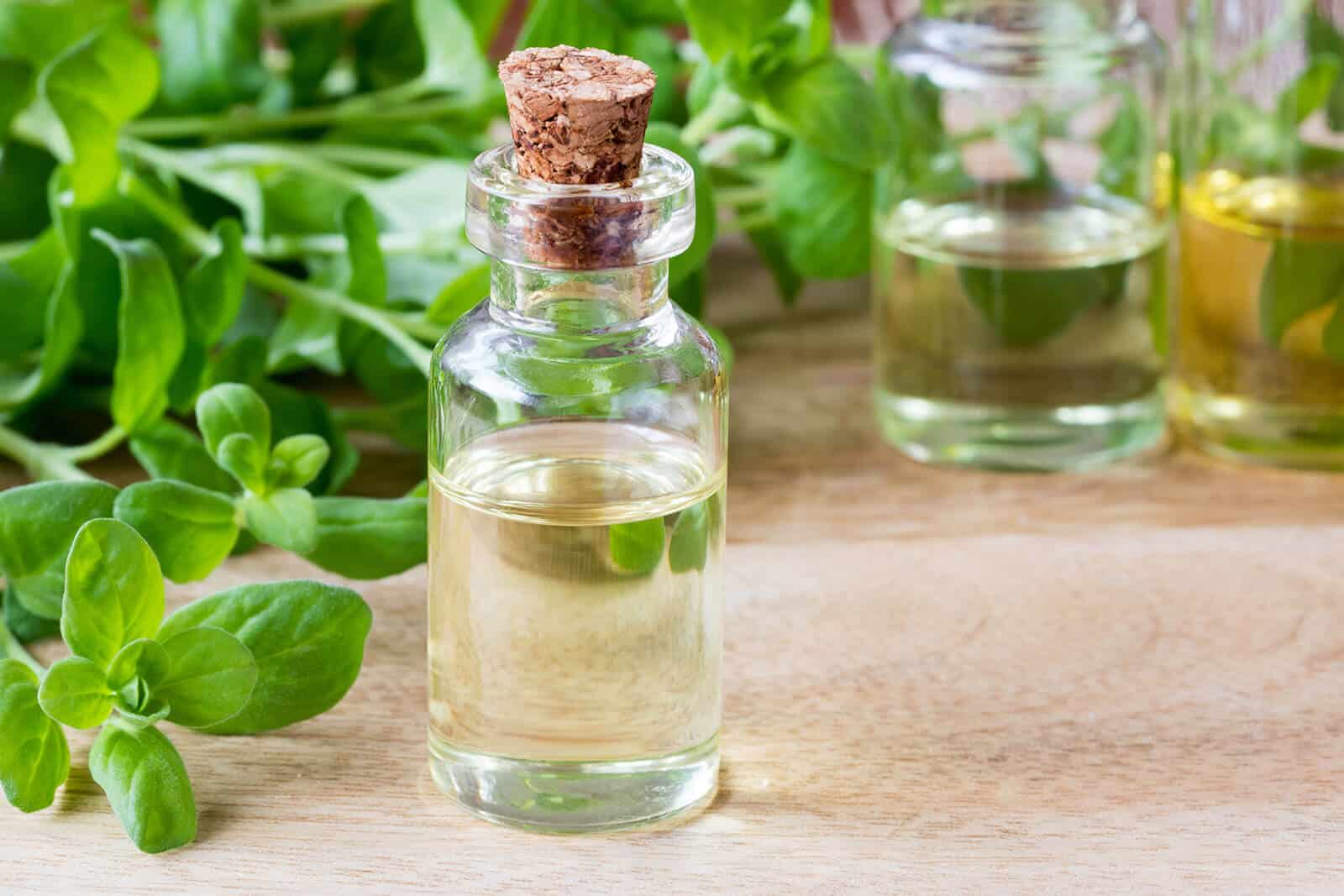 what-is-marjoram-essential-oil-good-for