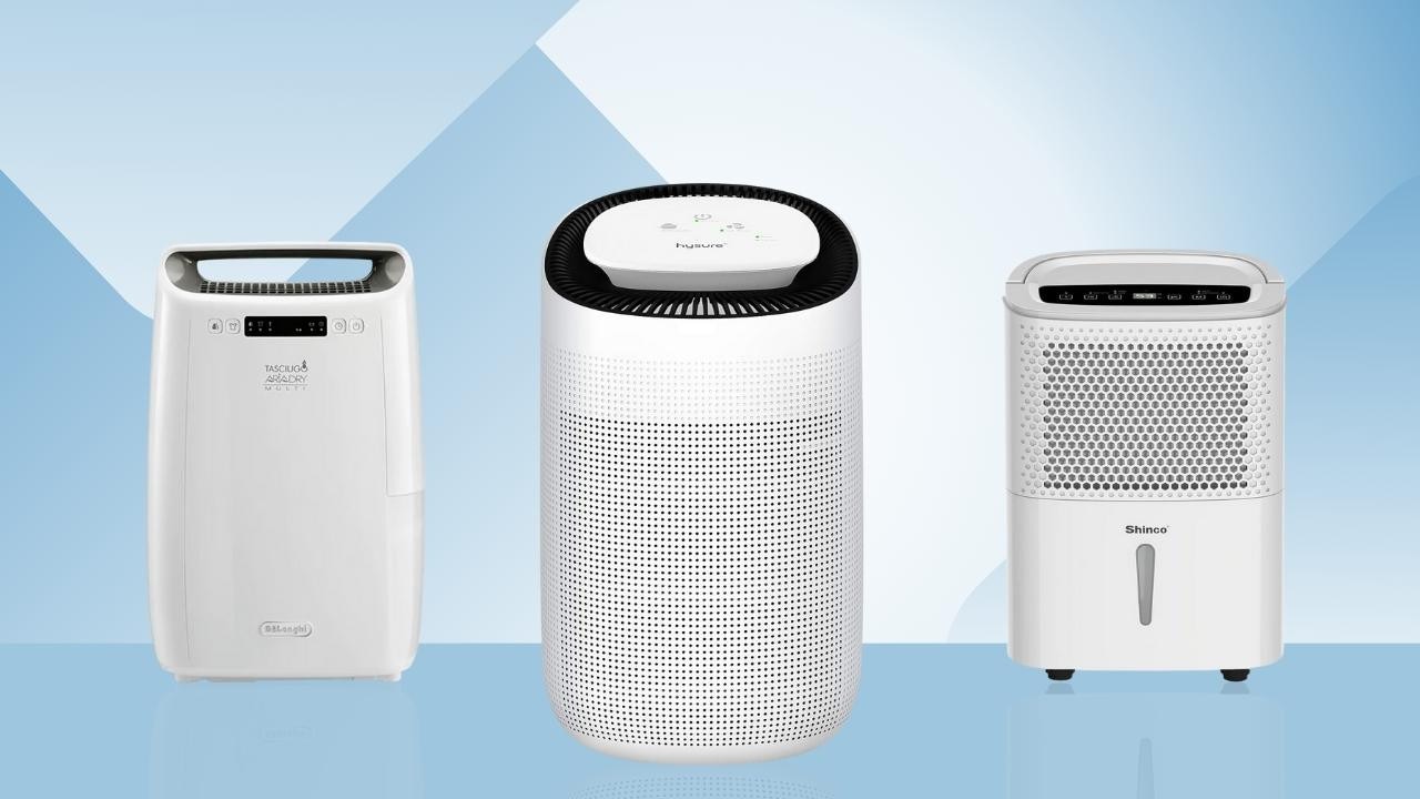 What Is The Best Dehumidifier To Buy In Australia