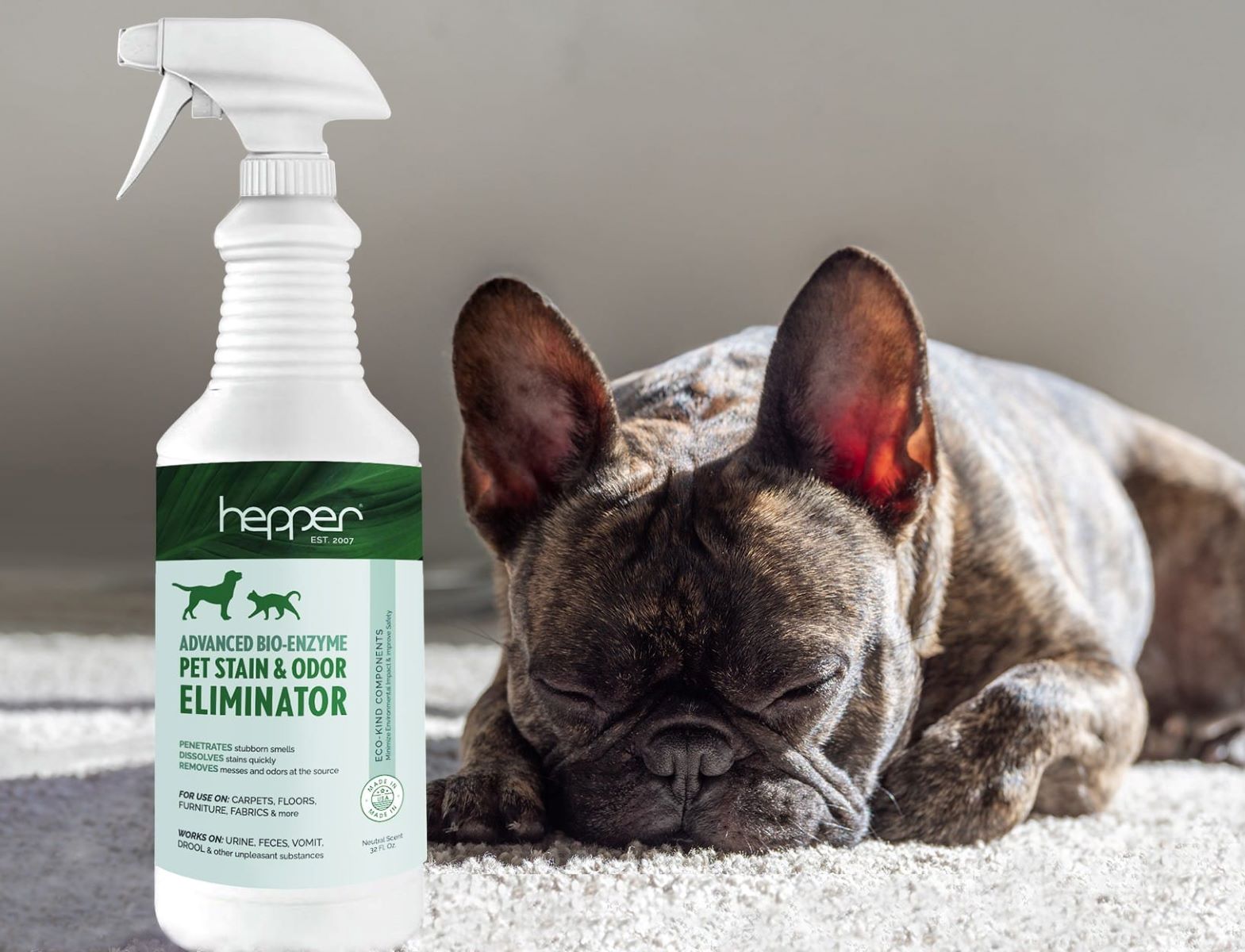 What Is The Best Deodorizer For Dog Smell