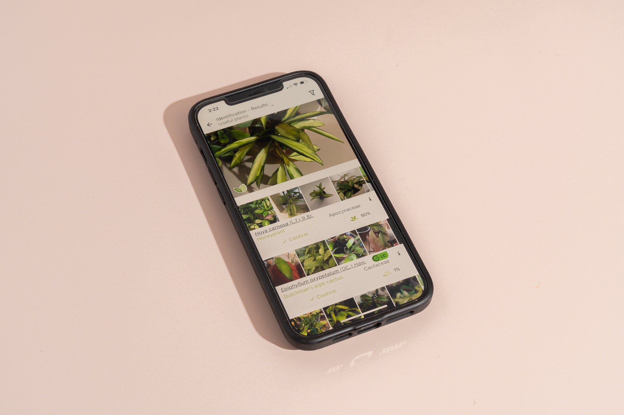 What Is The Best Plant App