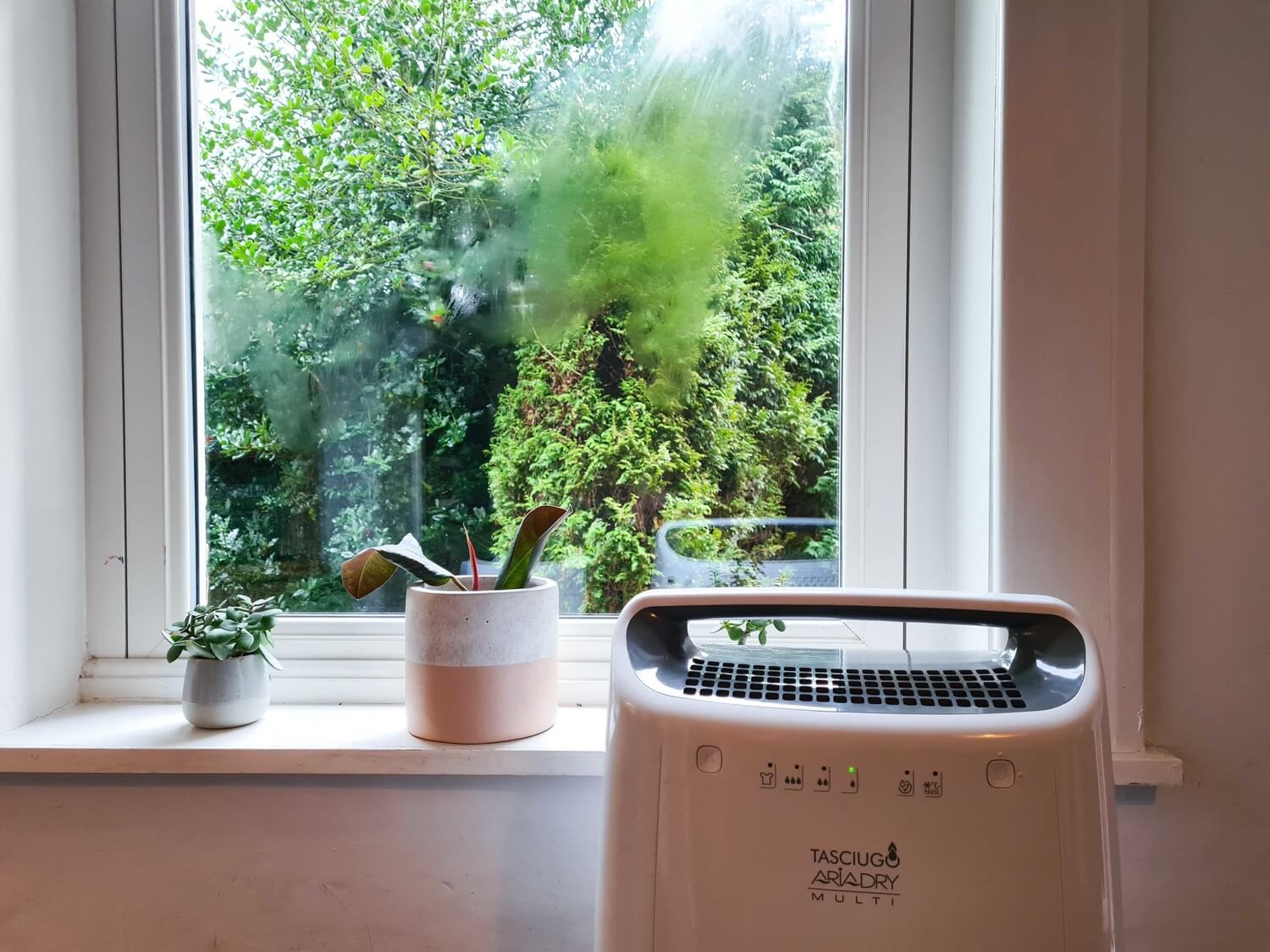 what-is-the-difference-between-a-dehumidifier-and-an-air-purifier