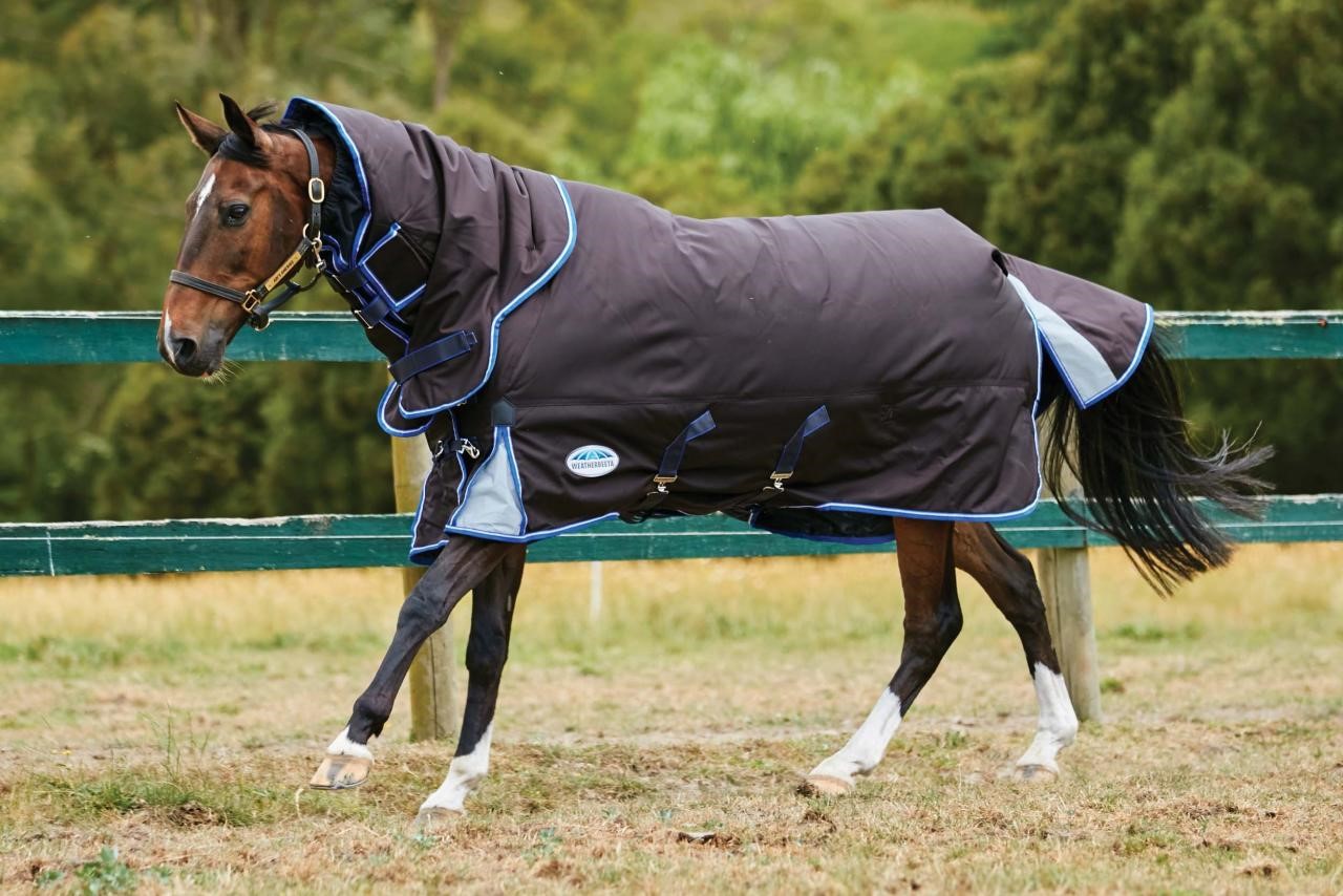 When To Blanket A Horse