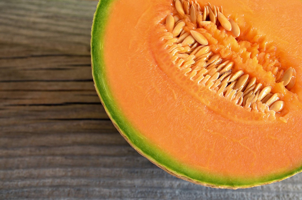 When To Plant Cantaloupe Seeds