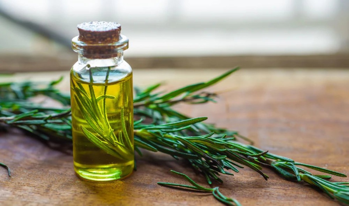 Where Can I Buy Rosemary Essential Oil