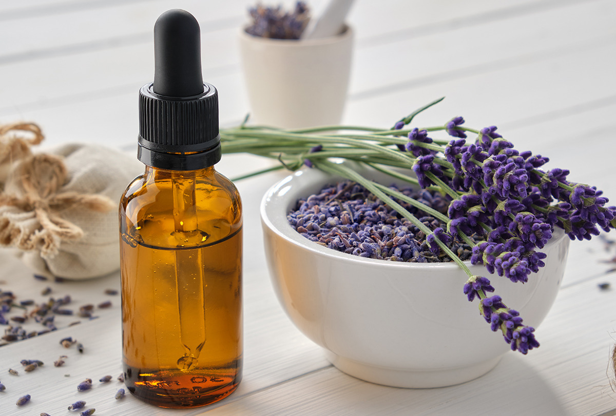 Where To Buy Lavender Essential Oil