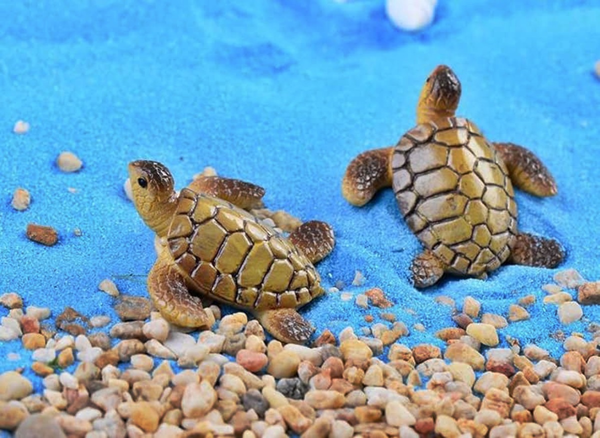 10 Best Turtle Figurine for 2024