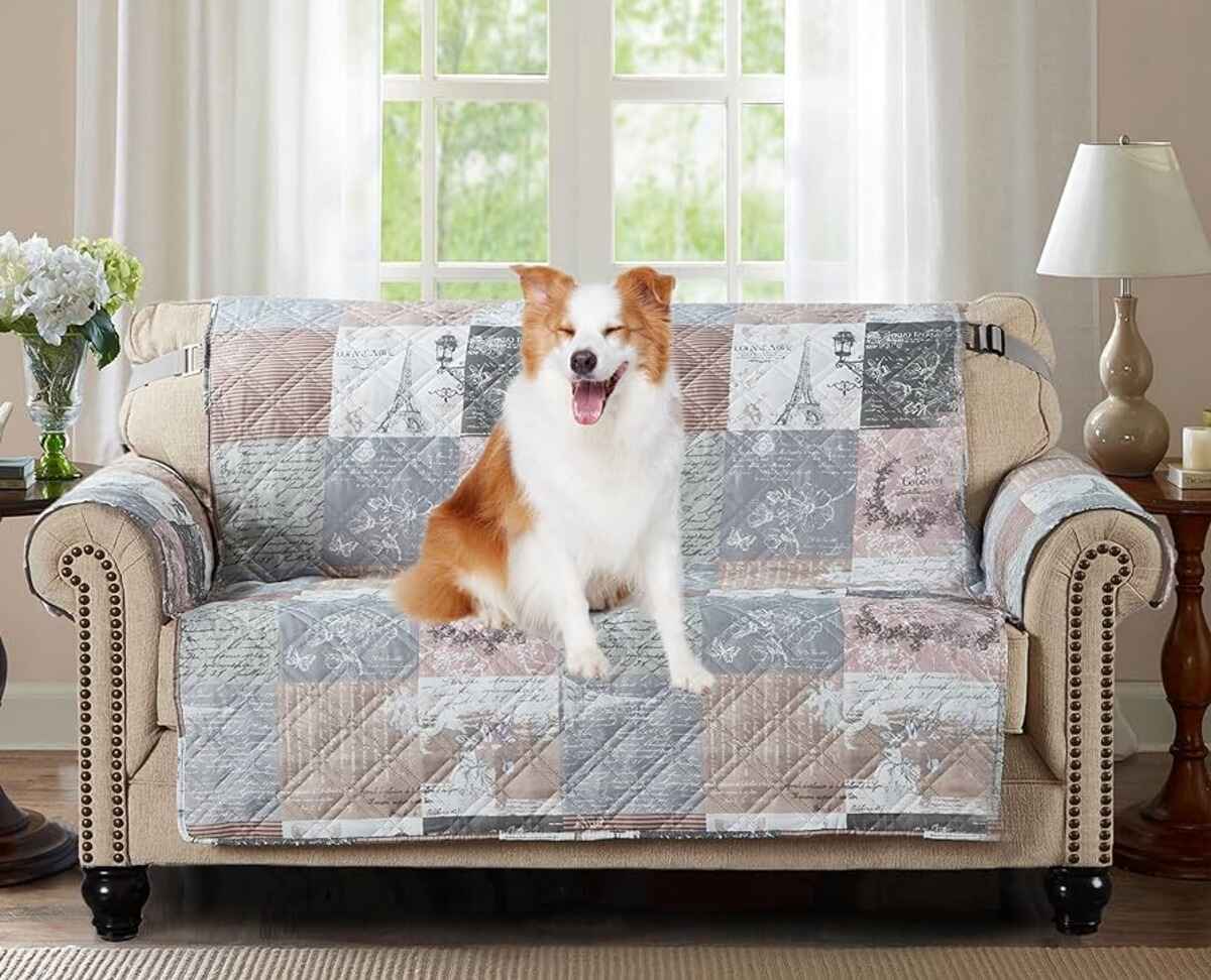10 Incredible Pet Proof Furniture Cover for 2023