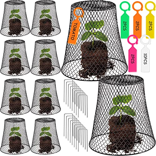 10 Pieces Chicken Wire Plant Covers Wire Garden Cloches Chicken Wire Cloche Plant Protector Metal Heavy Duty Garden Plant Cloche for Keeping Bunnies Chicken Squirrels Birds Other Out(9×9in)