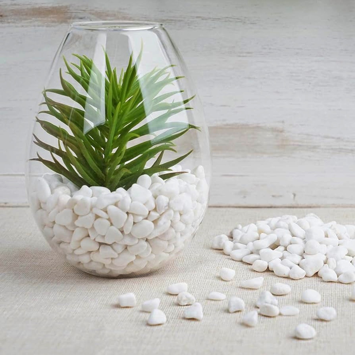 10 Unbelievable White Vase Filler for 2024